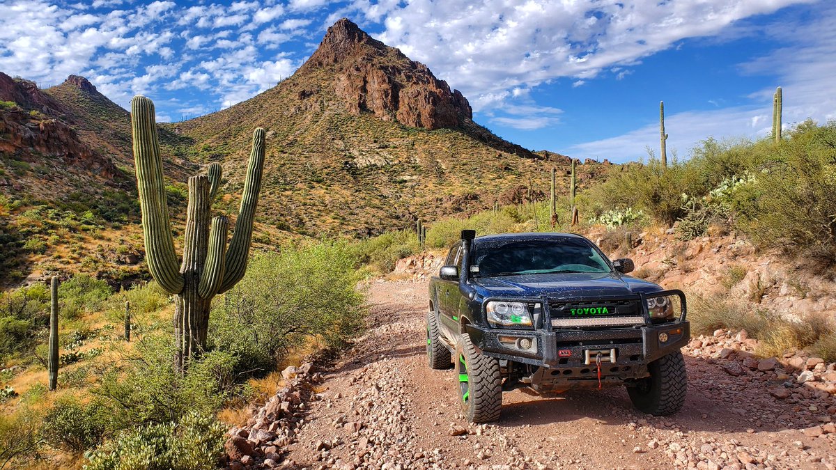 xploring_trails's tweet photo. Pure Happiness! #montanamountainloop #4x4 #desert #cactus #mountains #clouds #az #trails #letsgoplaces https://t.co/gynjpPeJe8