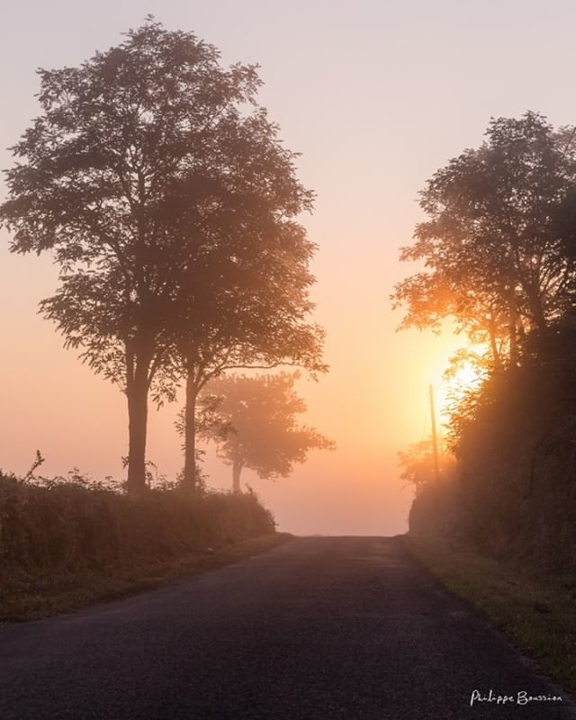 Jett1oeil's tweet photo. Sur la bonne route...
•
#deuxsevres #nature #paysdegatine #cenpc 2797
•
#igersdeuxsevres #igersfrance #kodakmoments #magnifiquefrance #france4dreams #yourhappyfrance #hello_france #so_photo #nouvelleaquitaine #explorefrance #notrejoliefrance #still_l… https://t.co/luUlePUHBO https://t.co/55X9pA4il4