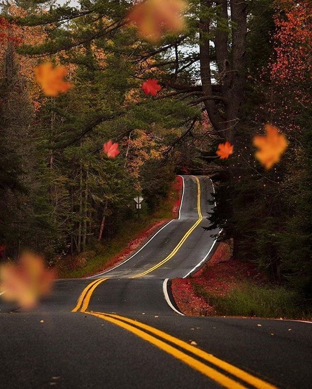 earthroulette's tweet photo. Winding roads of upstate New York from @chasing_thesunset 🍁 https://t.co/zN6St0GLlV https://t.co/q8YXRPqup6