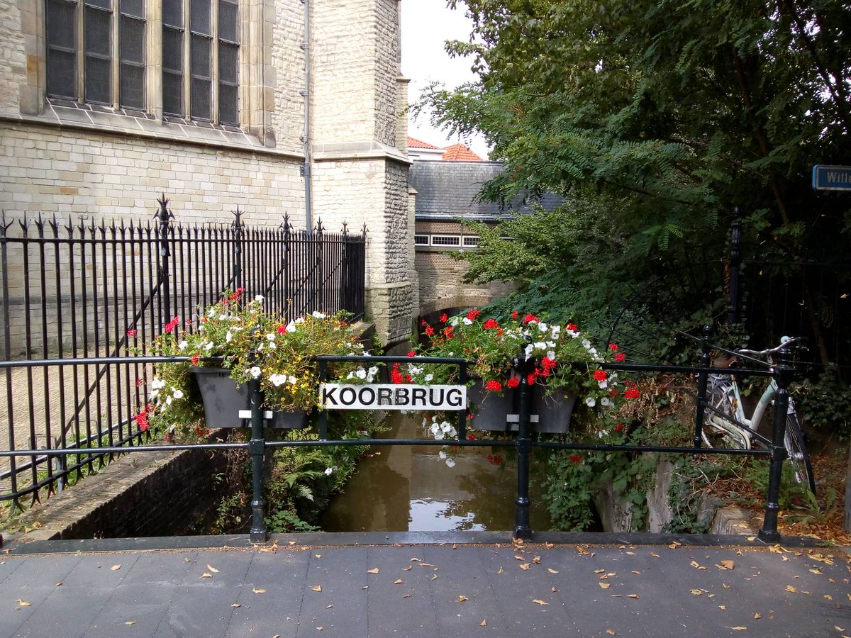 WaarinGouda's tweet photo. Antwoord van gisteren: Deze doorkijk is, letterlijk, Achter de Kerk, tussen de kerk en het park. https://t.co/qK20kSKKKM