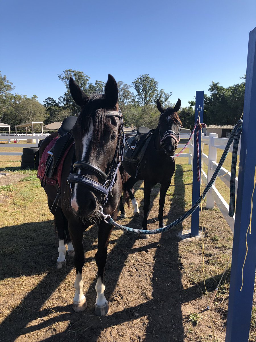 Vor der Reitstunde denken wir uns immer viel Blödsinn aus 🐴 Ob ich heute lieber buckel oder scheue? mal sehen 🤪 Eure Boots