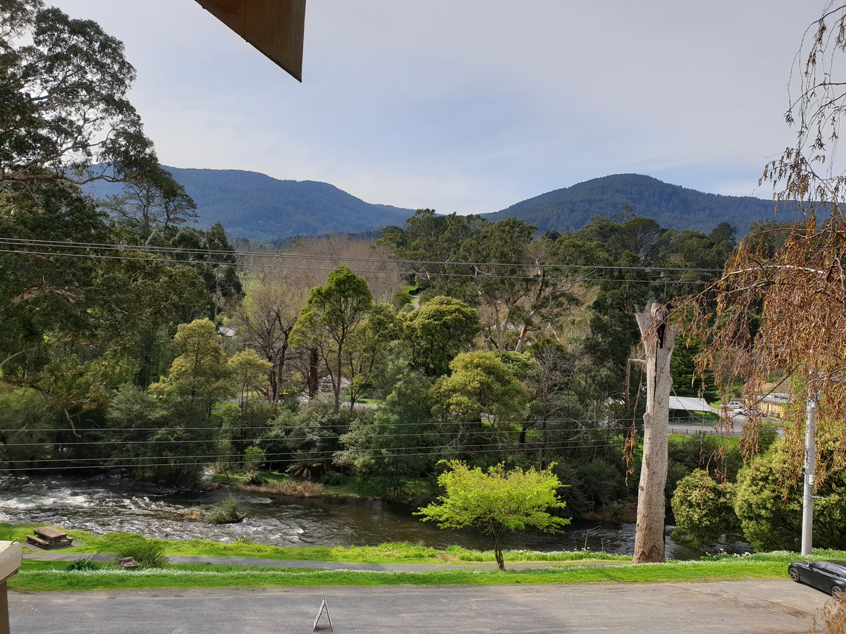 HelenJoanRushby's tweet photo. It's Flyday! At the #AusFly2019 conference at #Warburton #AlpineRetreatHotel #drosophila #MirthLab @MonashBiol https://t.co/F9qWs2Rr88