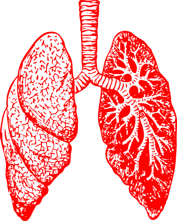 Omicsjournals's tweet photo. Multimodal Imaging in #Lung_Cancer: It Is Time to Change https://t.co/IiMyKzMVlI https://t.co/LKkMEoRAbm