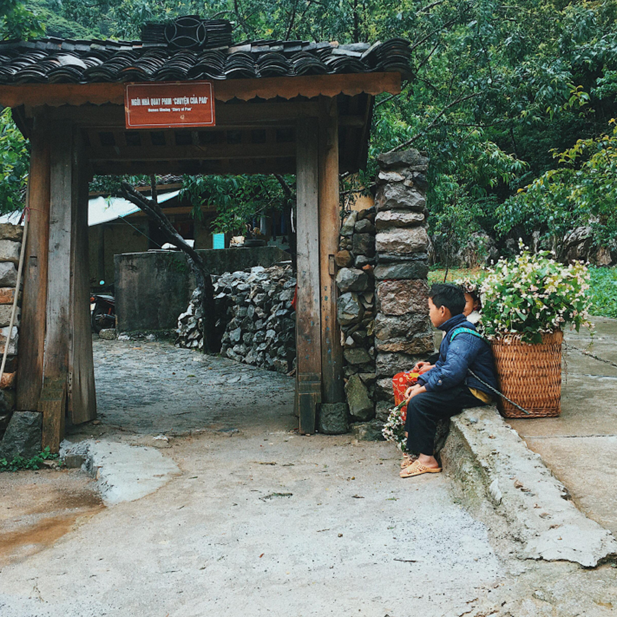 MyanmarTouching's tweet photo. Pao’s house is a 80-years-old traditional house. It located in Lung Cam cultural tourism village, Ha Giang, Vietnam. It is the context of Pao’s Story that won the Golden Kite Award - a prestigious Vietnamese film award.
#hagiang #vietnam https://t.co/tBBiputfJM