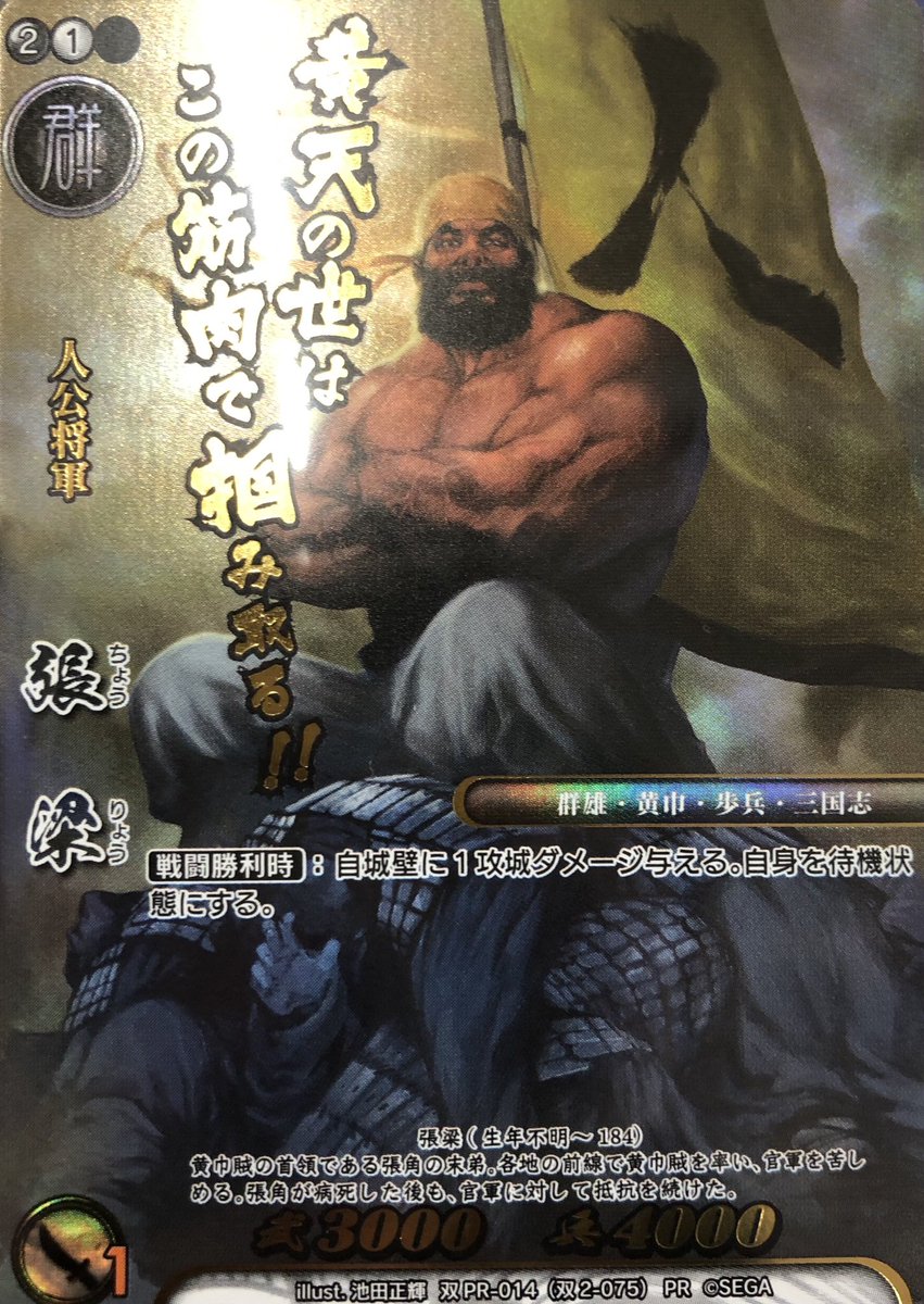戦国大戦TCG双 ボックス購入特典 PRカード届きましたー。 アーケード