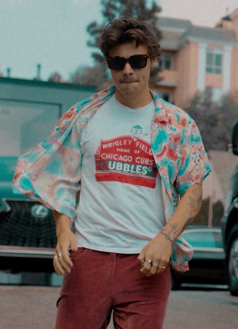 doharryes's tweet photo. la barba, el pelo, la camisa veraniega, la gracia en el andar, harry styles. definitivamente estoy pérdida https://t.co/ZZJdOqSoS4
