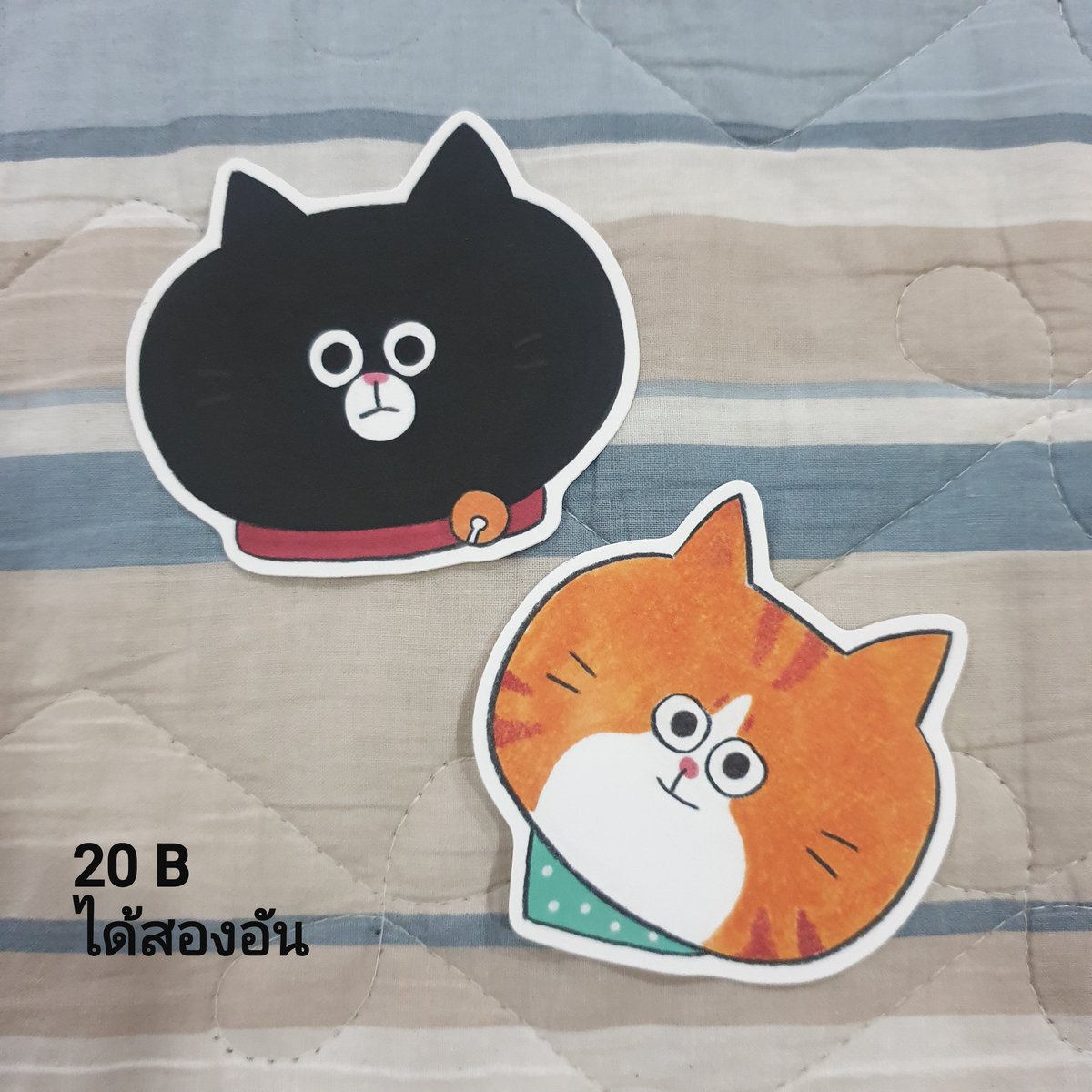 ppetitekr's tweet photo. Clearance Stock
#sticker #maskingtape #recorderstore #varietysum #koreastationary #stickerjapan #japanaccessories #เครื่องเขียนเกาหลี #เครื่องเขียนญี่ปุ่น https://t.co/H9qZYTnd9y