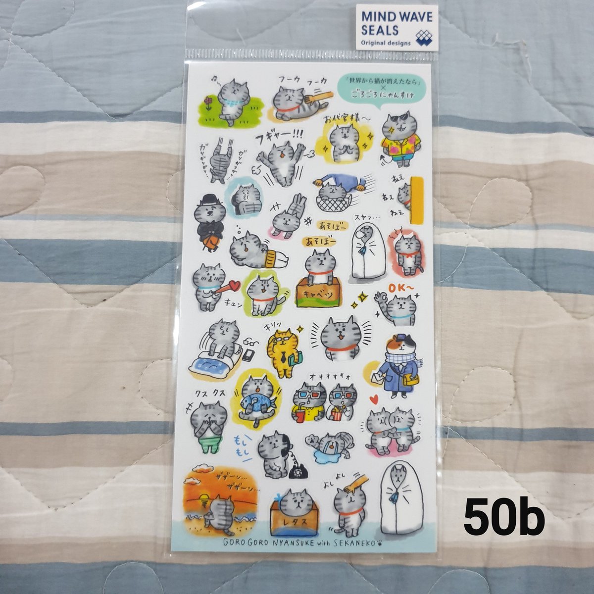 ppetitekr's tweet photo. Clearance Stock
#sticker #maskingtape #recorderstore #varietysum #koreastationary #stickerjapan #japanaccessories #เครื่องเขียนเกาหลี #เครื่องเขียนญี่ปุ่น https://t.co/H9qZYTnd9y