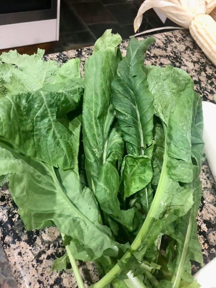 vegepod's tweet image. I was away for 12 days and came back to a market garden! 🍅🍆🌽

reposting - Rochelle Sutton on Vegepod Owners FB

 #Podtoplate #homeharvest #patchtoplate #harvest #goodfood #cleaneating #raisedgardenbed #growyourown #growfood #growyourownfood #eatwhatyougrow