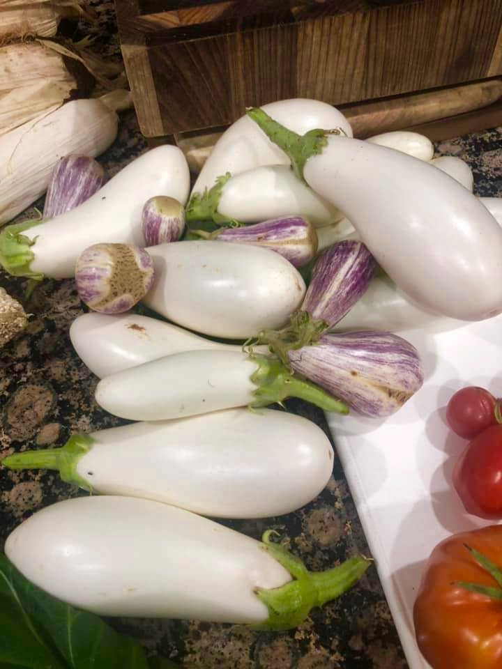 vegepod's tweet image. I was away for 12 days and came back to a market garden! 🍅🍆🌽

reposting - Rochelle Sutton on Vegepod Owners FB

 #Podtoplate #homeharvest #patchtoplate #harvest #goodfood #cleaneating #raisedgardenbed #growyourown #growfood #growyourownfood #eatwhatyougrow