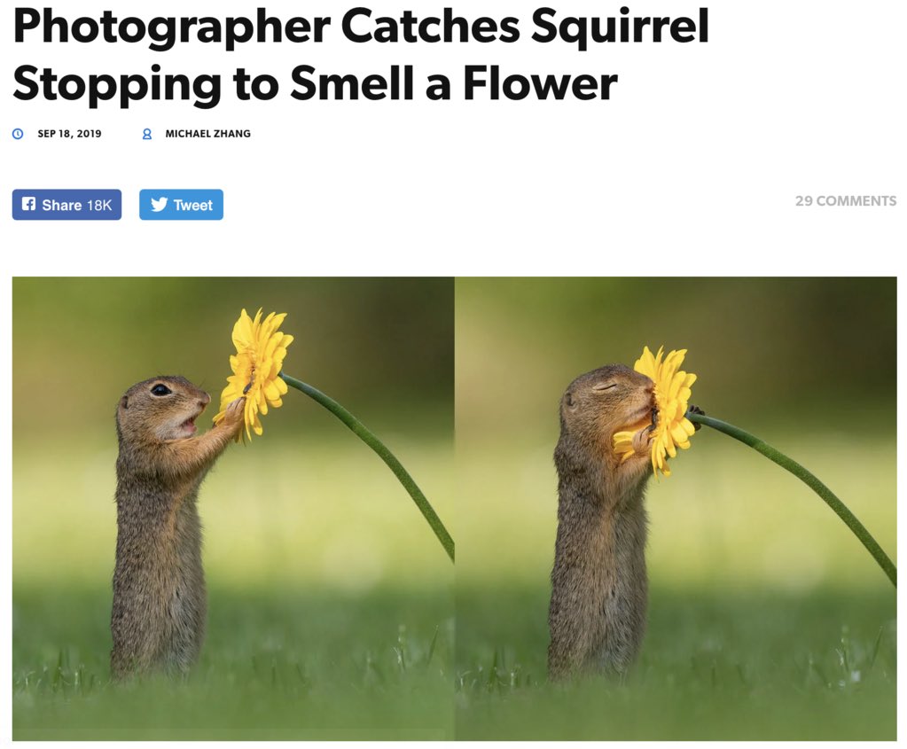 BaileyLilTree's tweet photo. The only news I needed to see today: https://t.co/CNq30ejGB6