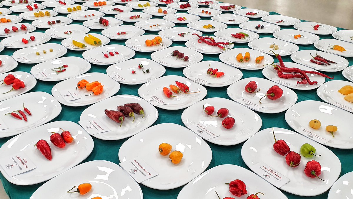 Fare Calabria tweet media