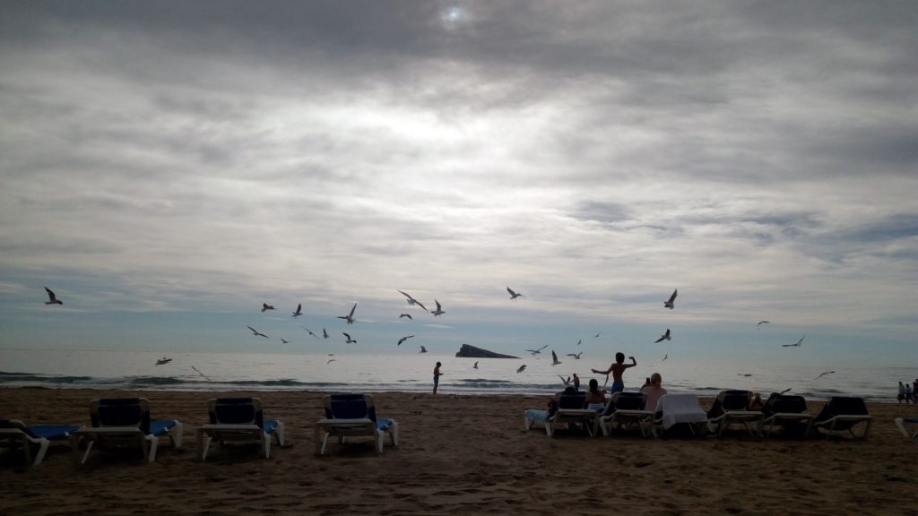 transfer4u_Bnd's tweet photo. Se nos va el #Verano2019 pero te ofrecemos infinitas oportunidades sobre #QueHacerEnBenidorm

https://t.co/OsoYwmAOzR https://t.co/uXpJa4PCQ1