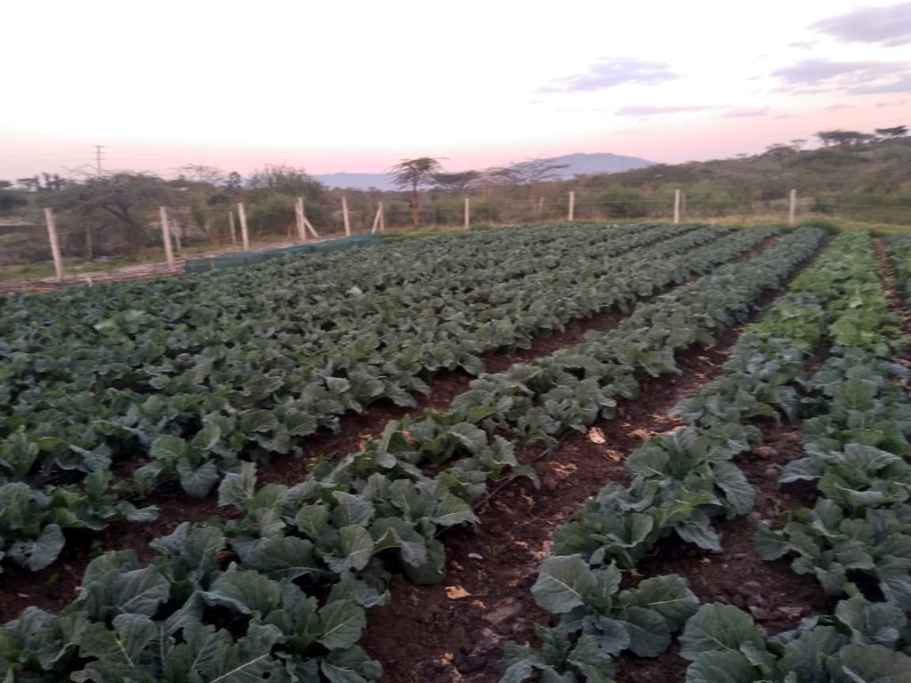 Irri-Hub KE tweet media