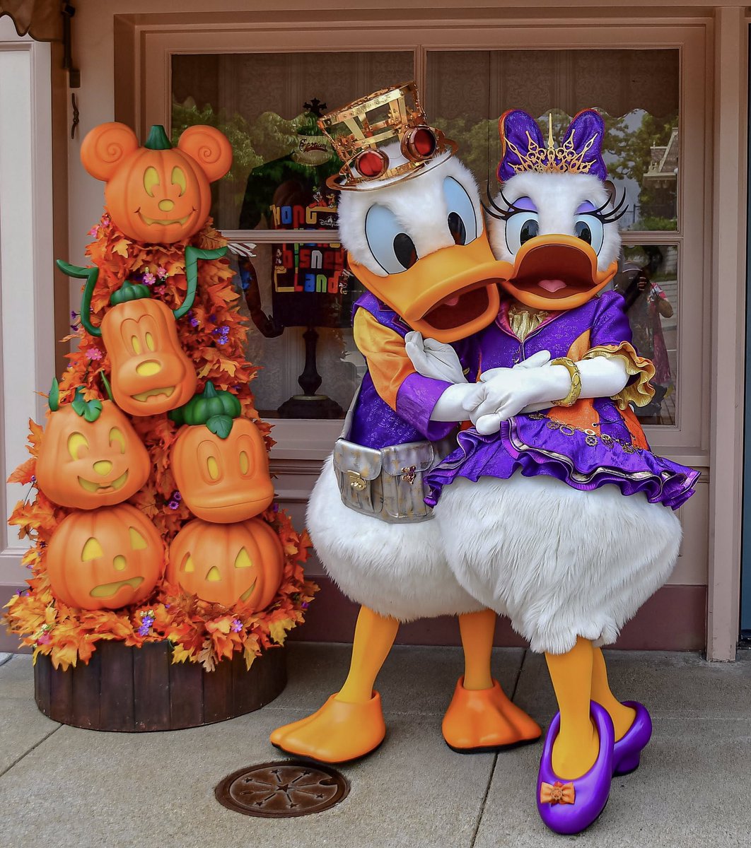 ドナかね すみれ ほぼ交換 على تويتر 香港ハロウィンコスのドナデジ Hkdl 香港ディズニーランド 香港迪士尼樂園 Hongkongdisneyland ディズニーハロウィン ディズニー写真部 Disneyphoto Disneygram ドナデジ ドナルド ドナルドダック ディジーダック ドナかね すみれ ほぼ交換 على تويتر 香港ハロウィンコスのドナデジ Hkdl 香港ディズニーランド 香港迪士尼樂園 Hongkongdisneyland ディズニーハロウィン ディズニー写真部 Disneyphoto Disneygram ドナデジ ドナルド ドナルドダック ディジーダック