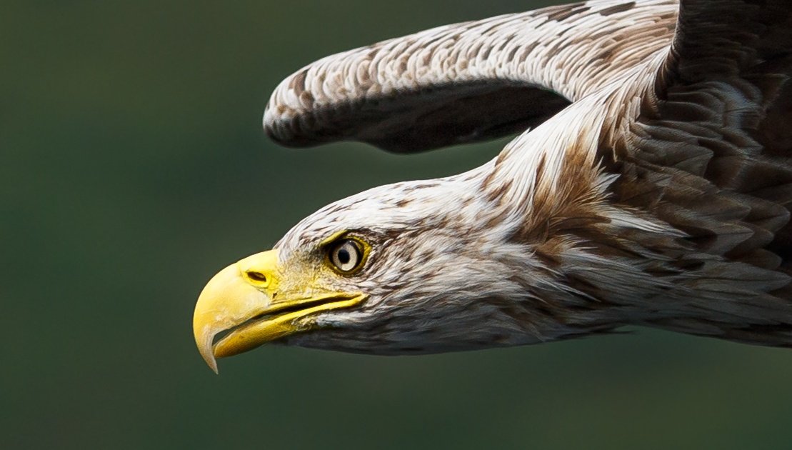 Alex Keivers (@alex_keivers) on Twitter photo 