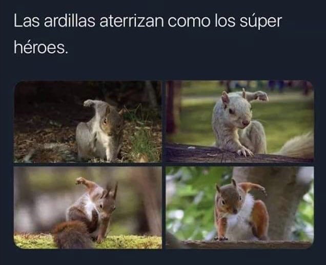 InocenteDuke's tweet photo. Me encanta 😍 juas!! https://t.co/d3zh7sjk17