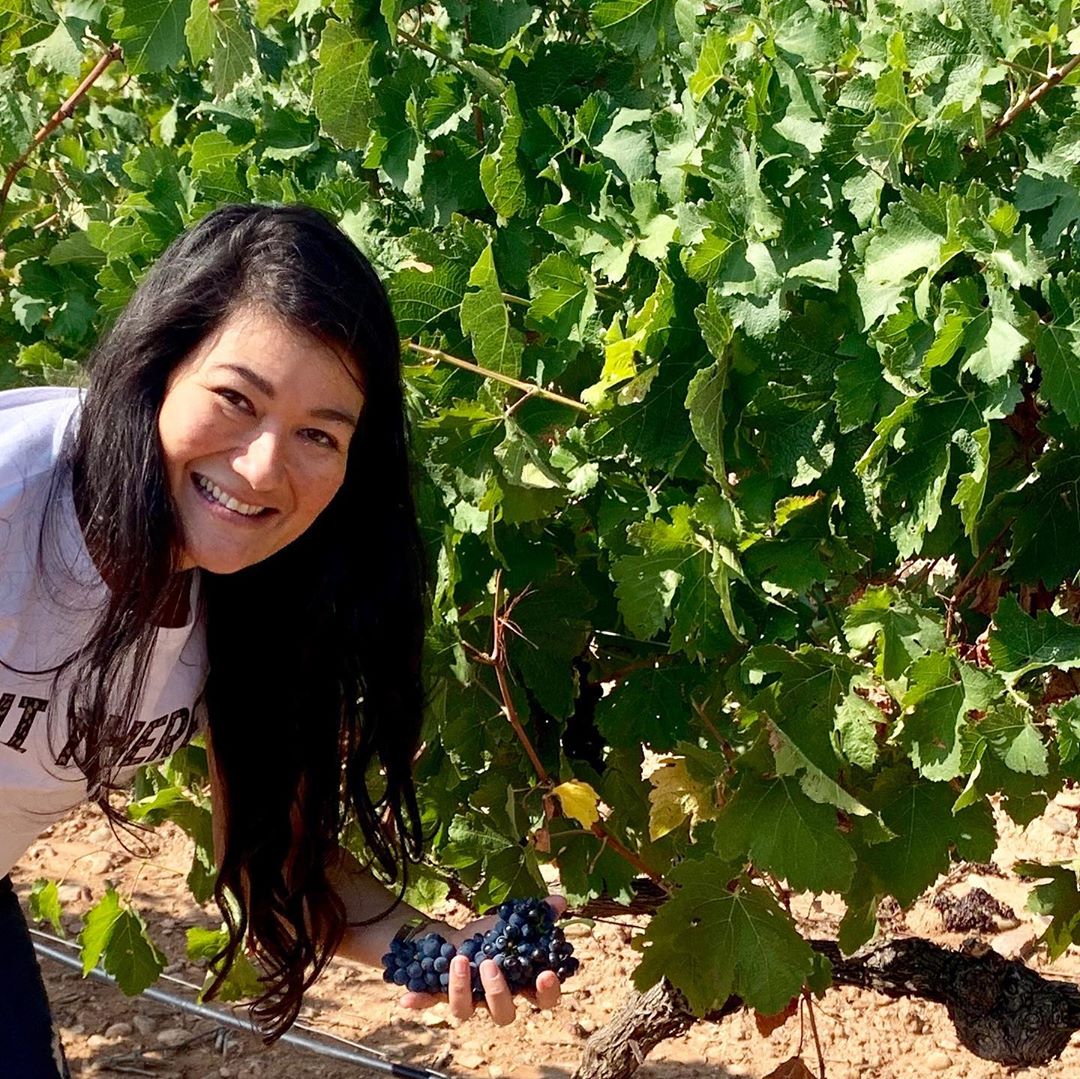 Pago de Cirsus tweet media