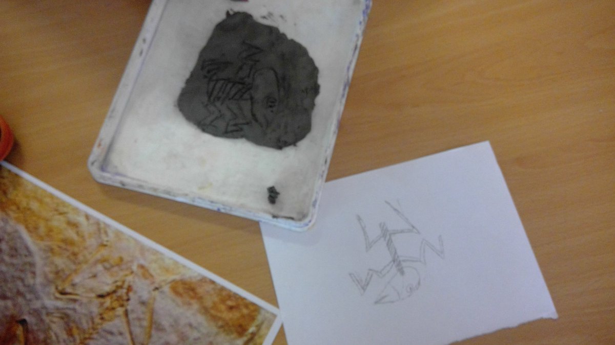 DenbeathP6_7's tweet photo. Step 3 - We added lots of detail to our fossils. https://t.co/AuHUWDqkAD