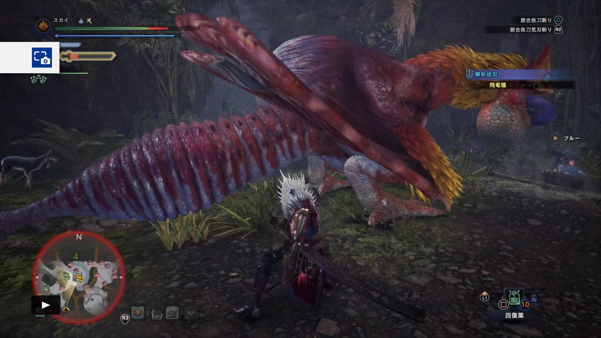 スカイ あおぞらgames こんばんは スカイです 導きの地でプケプケ亜種に太刀の練習台になってもらいました 朝教えてもらった立ち回りをしたら 捕獲まで10分掛からなかった あれだけ倒すのに時間掛かったのに ありがとうございました