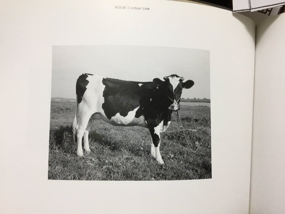 畠山直哉 NAOYA HATAKEYAMA 写真集 淡交社 畠山直哉 NAOYA HATAKEYAMA 写真集 淡交社 - メルカリ