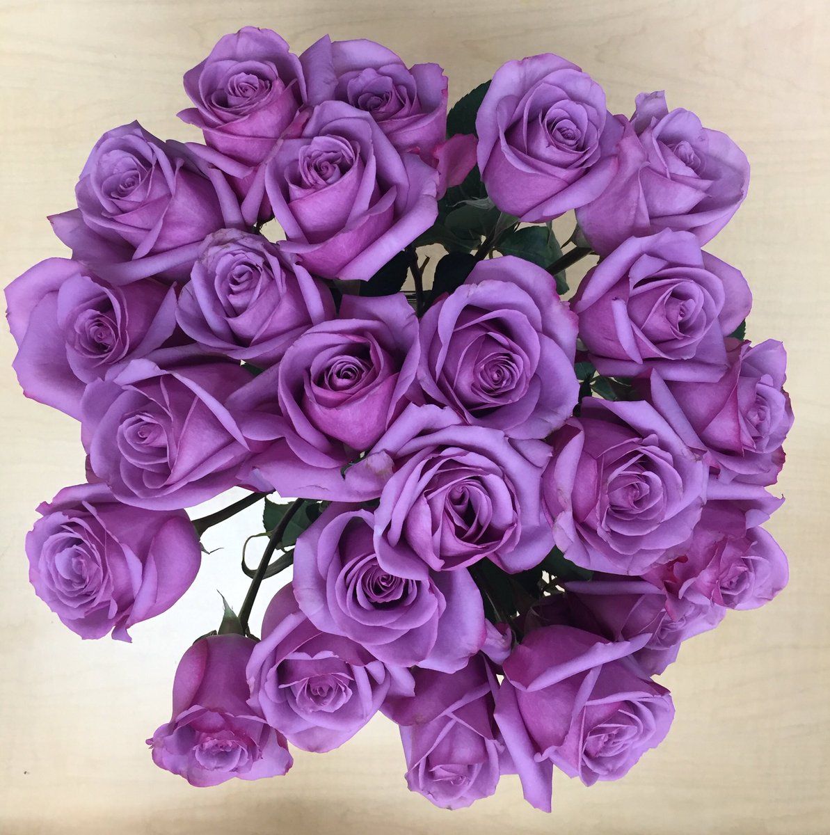 carolyn helmers tweet media