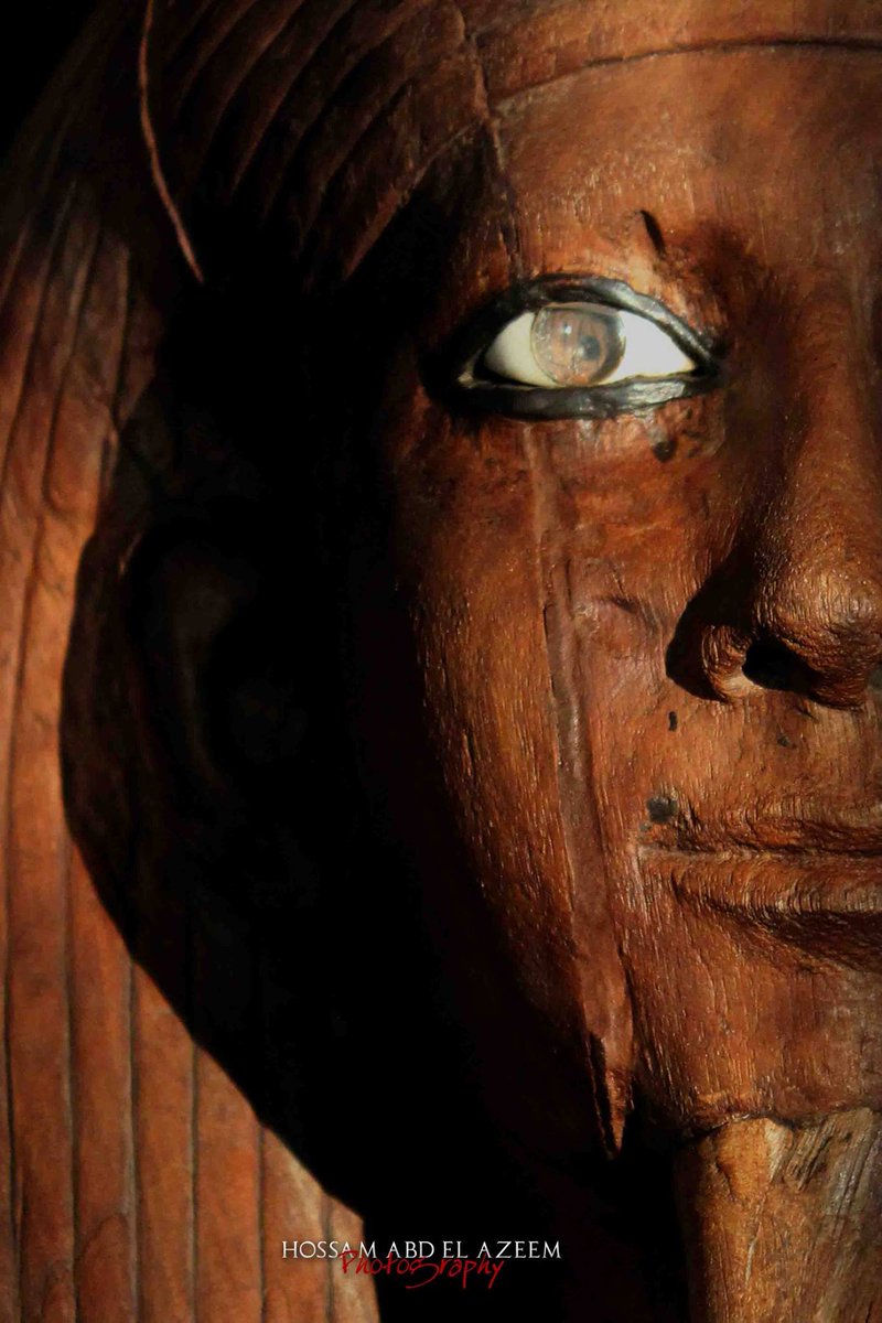 الشمس على وجنتيه ❤
الملك حور في المتحف المصري 
#تصويري