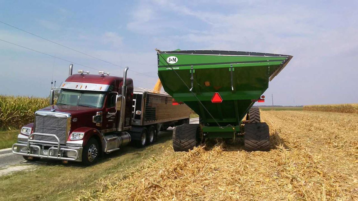 Mark Stribling tweet media