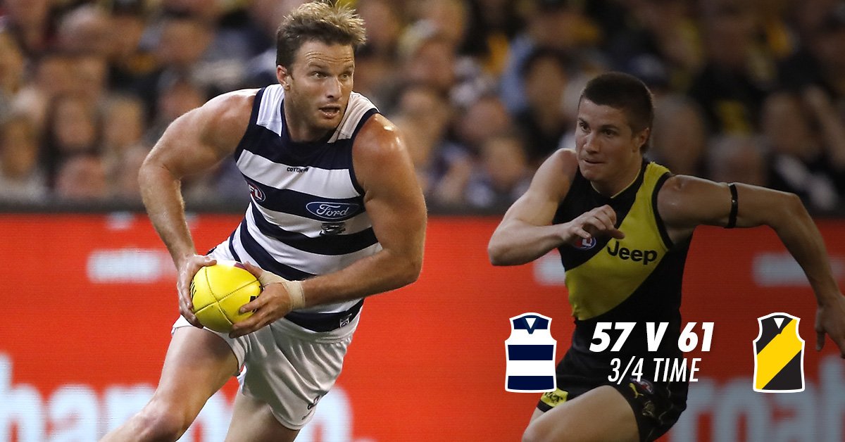 Geelong Cats tweet media
