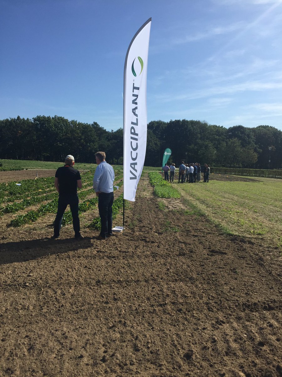 De weergoden zijn ons weer gezind! Innovatiedag #3-2019 @BL_CampusVenlo