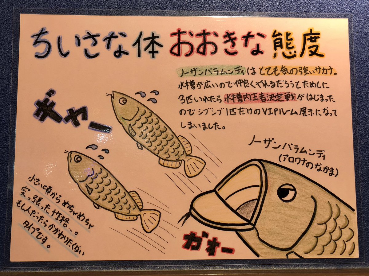 Daiki Tsutamoto 蔦本大樹 かわいいポップたち