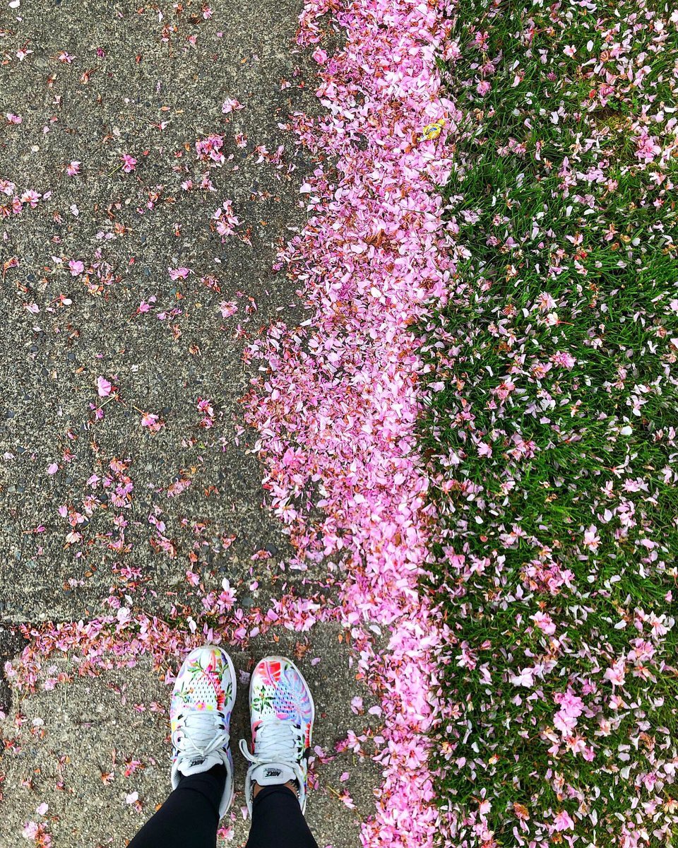 Woke up reminiscing my time in the beautiful British Columbia surrounded by Cherry Blossom Trees😭🌸 The most gorgeous walking trails and adorable houses which each have private gardens or vegetable patches🙊 <a href="/CharsonAdvisory/">Charson Advisory</a> <a href="/ExploreCanada/">Canada</a>