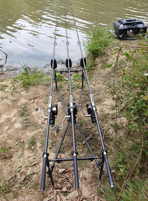 RADAngling tweet media