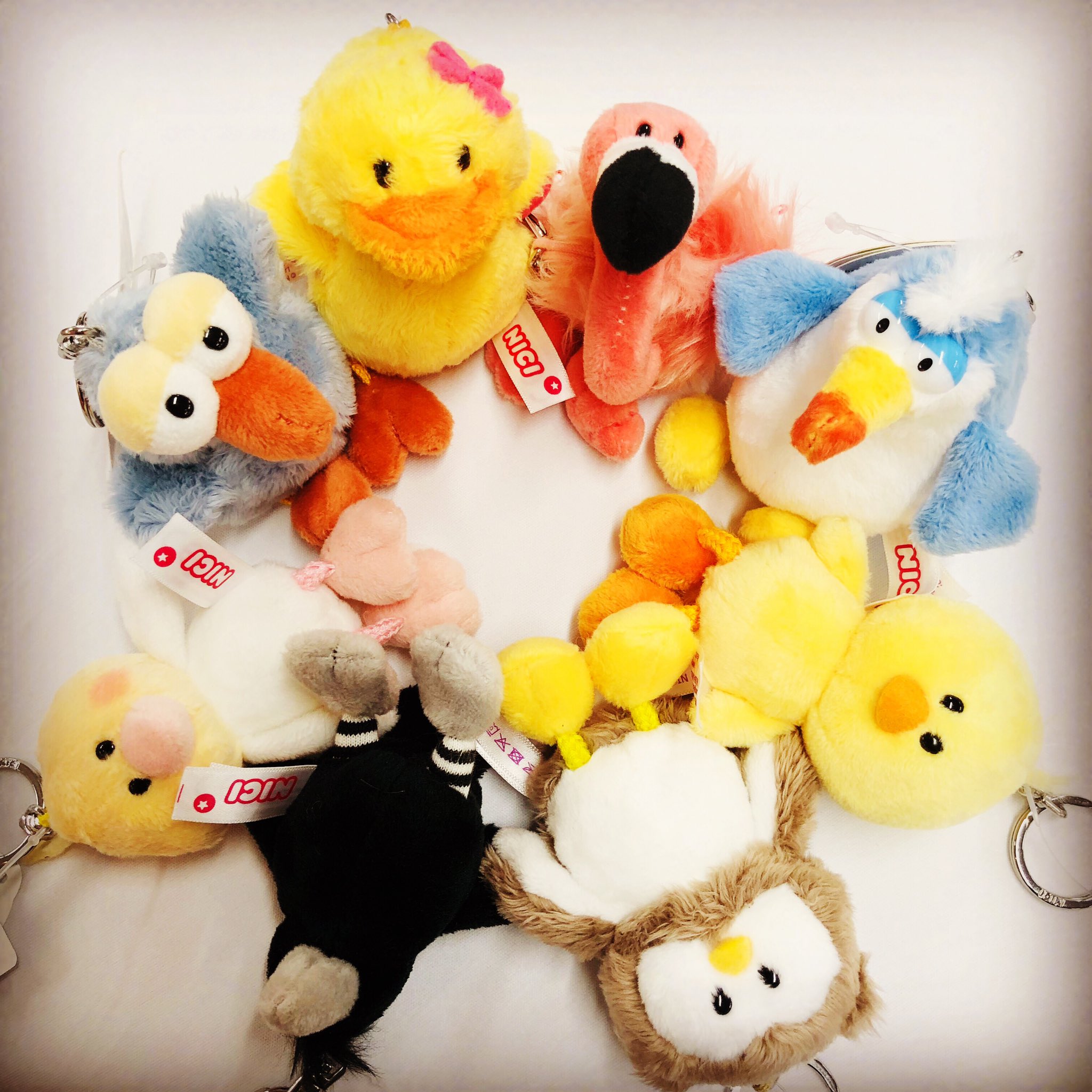 nici ニキ　トリ　鳥　35センチサイズ nici ニキ トリ 鳥 35センチサイズの通販 by りうこ｜ラクマ