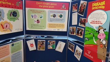 MoredunComms's tweet photo. Gearing up for this year's @BiggarSF Disease Detectives with @KevinMclean_MRI in the Gillespie Centre tomorrow sat 21 Sep 11-4pm. Come and join #InspectorMoo for a scientific Whodunnit @SEFARIscot #HighlandShow #LeadingIdeas https://t.co/Iczg1RaFT9