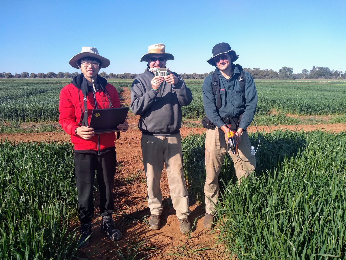 GMEstavillo's tweet photo. Colleagues from @CSIRO and @BiologyANU helping with screening #wheat lines using #leafreflectance at #Yanco on @theGRDC and @leaf2field funded projects. Thanks for the great effort Dan, Brenton and @rossjdennis ! https://t.co/nv7B09PZ2J