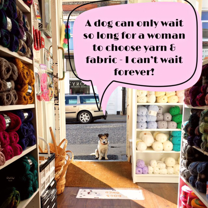 ThriftyThistle's tweet photo. #yarnandfabricshop #dogs #waiting #thethriftythistleoffelixstowe #thriftythistle #thistle #felixstowe #familybusiness #lovelocal #shoplocal #loveindependant #shopindependant #shopsmartshoplocal #support yourlocalhighstreet https://t.co/r3uG4PVkwJ