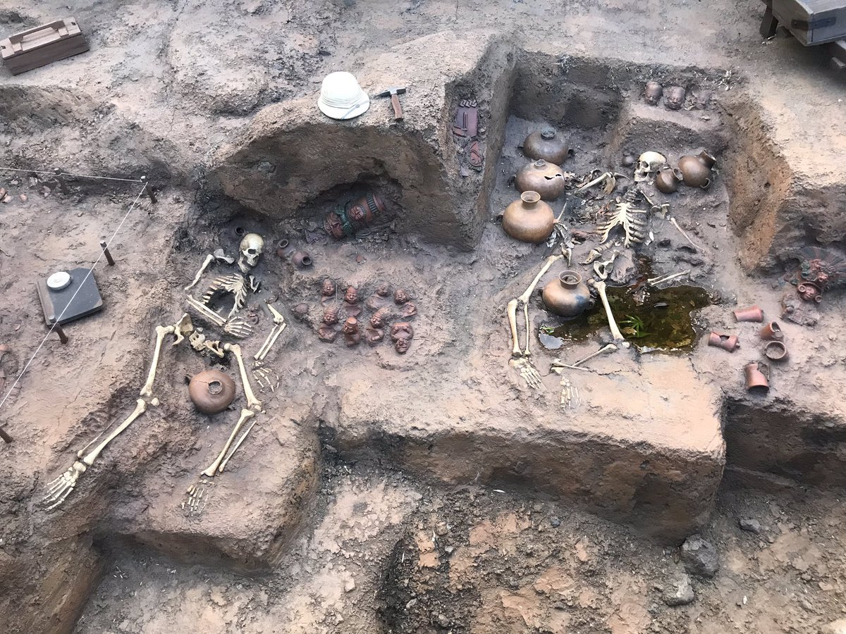 らりぃ はい 白骨化した遺体の発見現場から中継です Lostriverdelta Yucatanbasecampgrill Tokyodisneysea