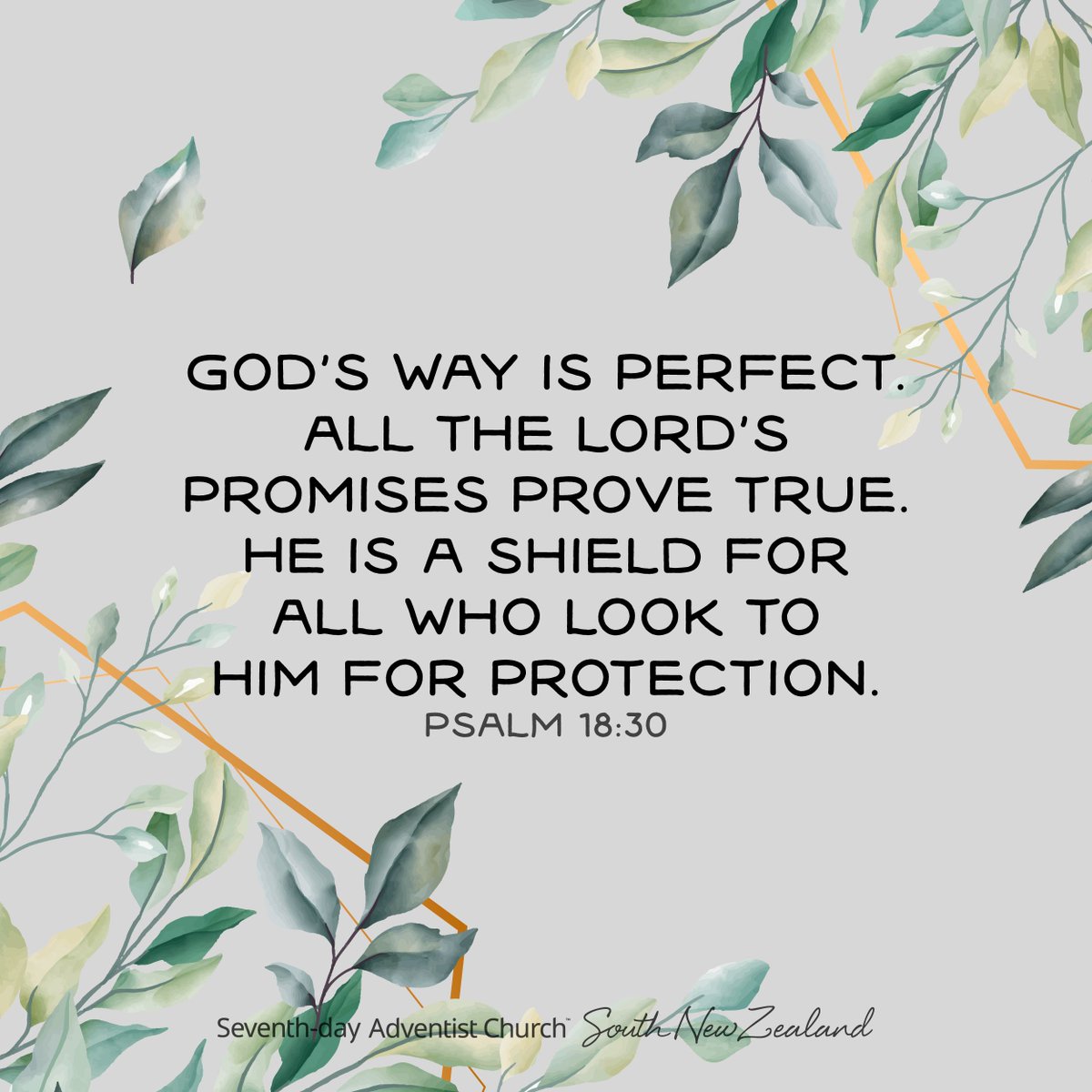 Adventists South New Zealand tweet media