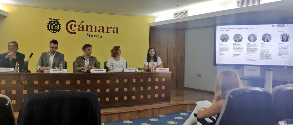 ErecyclingMur's tweet photo. Arranca la mesa redonda en @camaramurcia con @agrosingularity @UsefulWastes  @GrupoLevantina #AsociaciónDeGrafeno moderada por M Ángeles de @ErecyclingMur https://t.co/DDUx8Y3Rpf