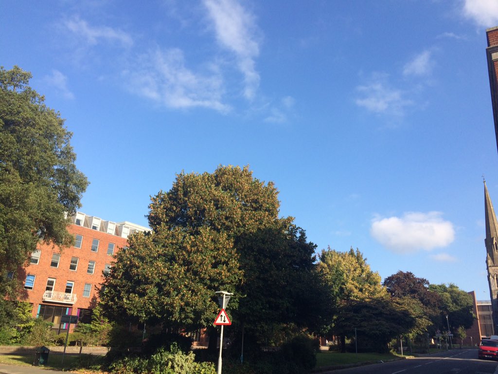 grocer_on_green's tweet photo. Not a bad day at all to have my helper in store today so can get some errands done in #SunnyExeter ☀️😎👍 https://t.co/sz7tUamH7m