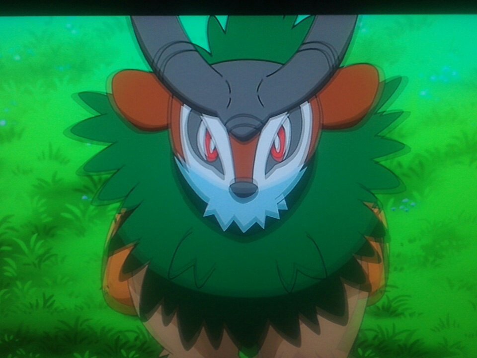 Friendly 翔太 ゴーゴートかっこいい ポケモンbw ポケモン ポケモン再放送 Anipoke Friendly 翔太 ゴーゴートかっこいい ポケモンbw ポケモン ポケモン再放送 Anipoke