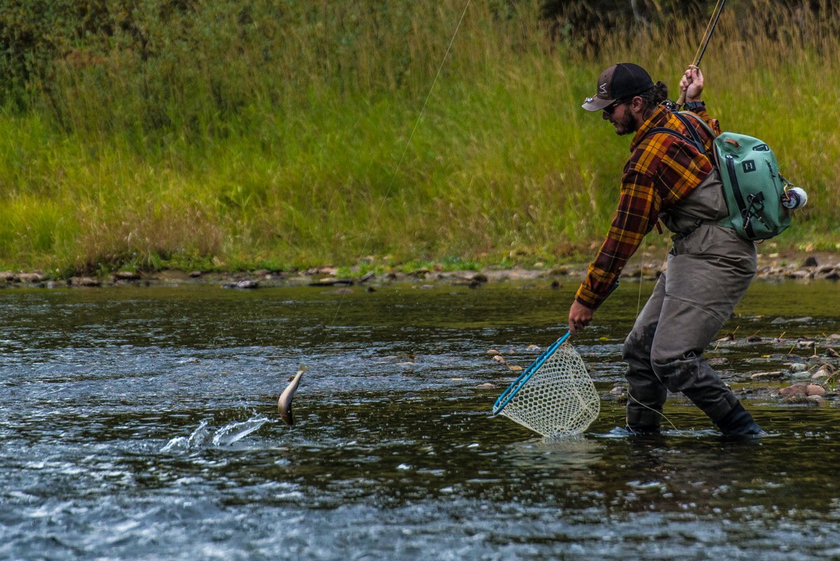 spokaneflyshop's tweet photo. Cast, hook, net. 

#flyfishing #cutthroattrout #cdariver #coeurdalene #silverbowflyshop https://t.co/RZlBj7vqNz