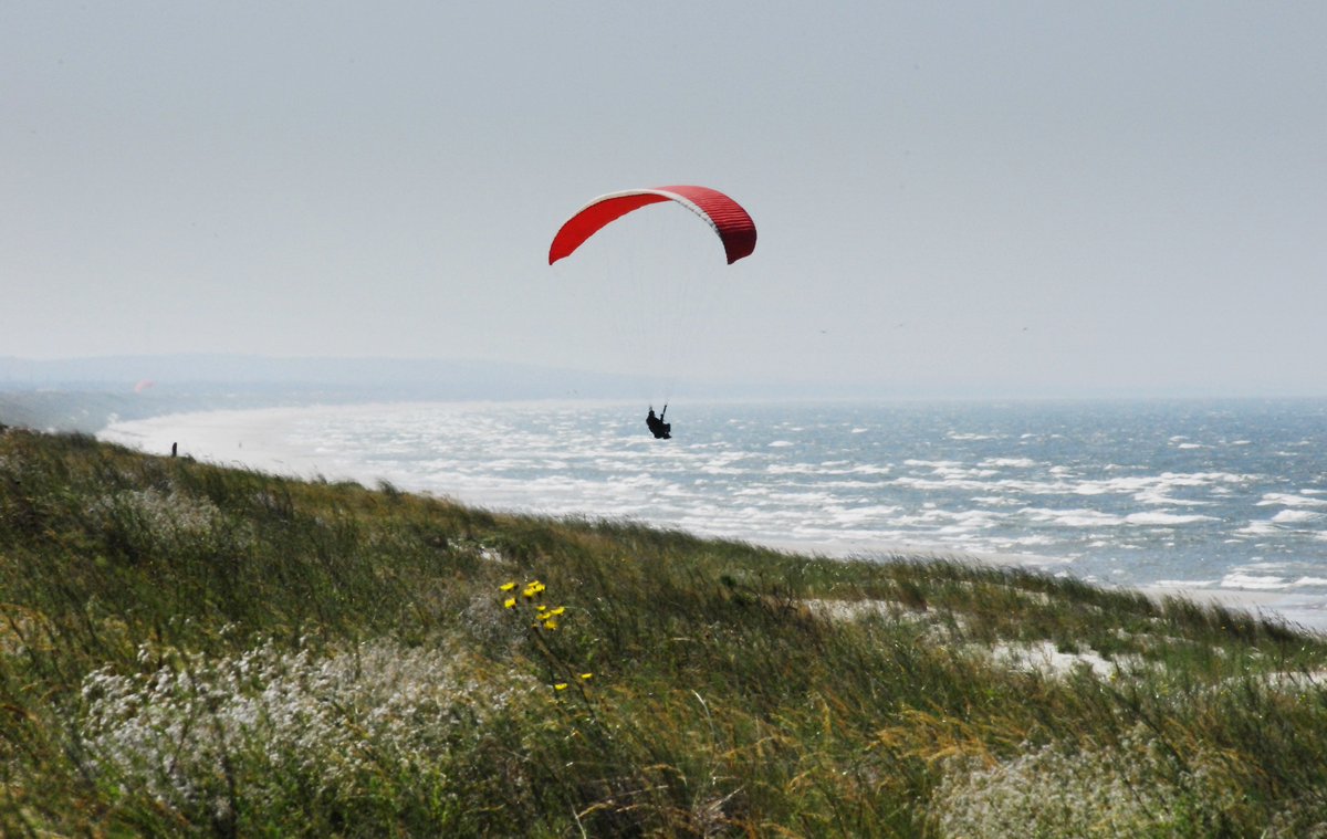 Lithuania tweet media