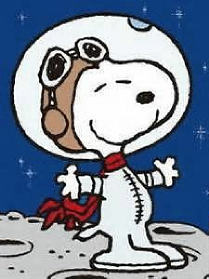 Twitter 上的 Deep Dragon We Love Snoopy 変装しても スヌーピー Beagle Scout ビーグル スカウト ボーイスカウト もといビーグルスカウトの隊長 ウッドストックの仲間たち コンラッドやフレッドたち を率いて 冒険の旅に出ます T Co