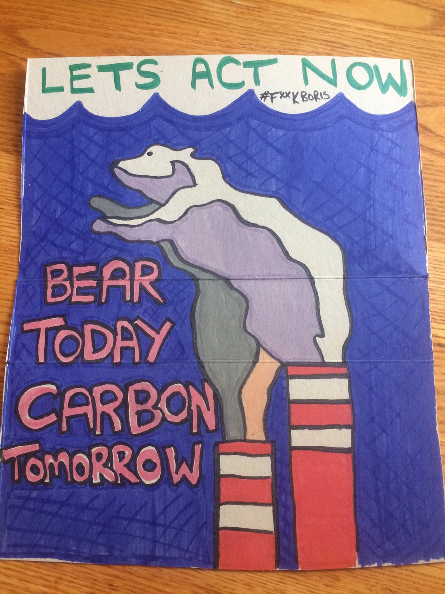 H_notts's tweet photo. #ClimateStrike #climatestrikemanchester letโs do this together ๐๐ช @GretaThunberg https://t.co/S06znUpzSV