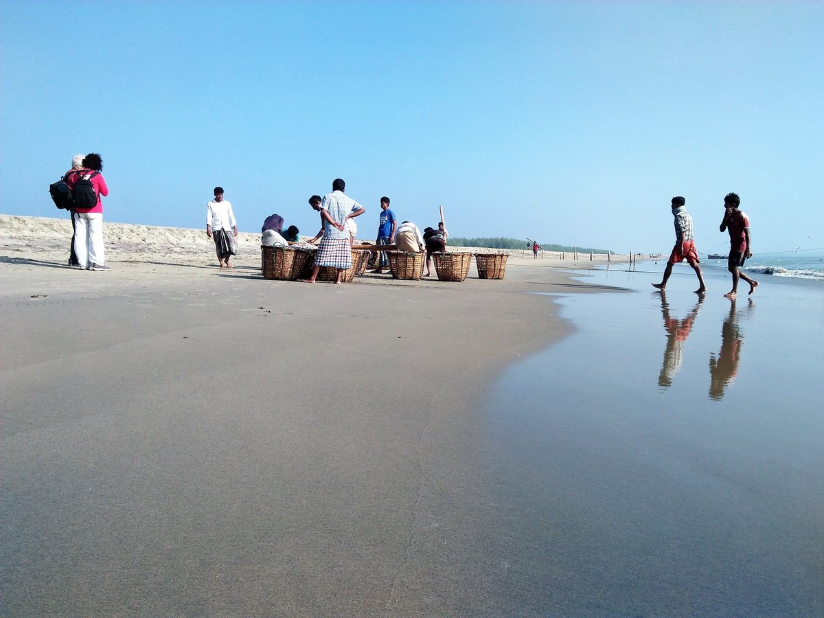 davidcenedo's tweet photo. the longest unbroken sandy beach (120 km.) in the world! Miles of silvery sands, surfing waves, rare conch shells, colorful pagodas, Buddhist temples and tribal life-this is Cox’s bazaar, the tourist capital of Bangladesh
https://t.co/qMpet8BIIA
#coxsbazartourbangladesh
#seabeach https://t.co/BE7jaas0EX