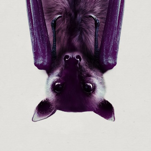 GCNmag's tweet photo. Caught the rather lovely and wonderfully atmospheric @VespertilioPlay in @smockalley as part of
@dublinfringe. It's a curious and touching gay love love story with a pair of excellent performances. And bats! Well worth catching. #gcndoesfringe https://t.co/6Try5KBVAz