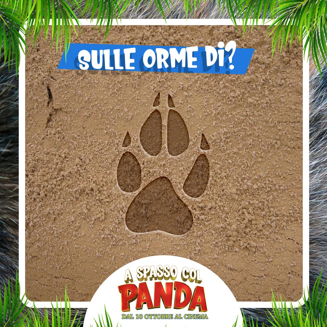 Wild and 🆓
Da lui discendono i nostri cari fido 🐕
Di quale animale stiamo parlando?
Lo trovate tra i protagonisti di #ASpassoColPanda, dal 10 ottobre al cinema.