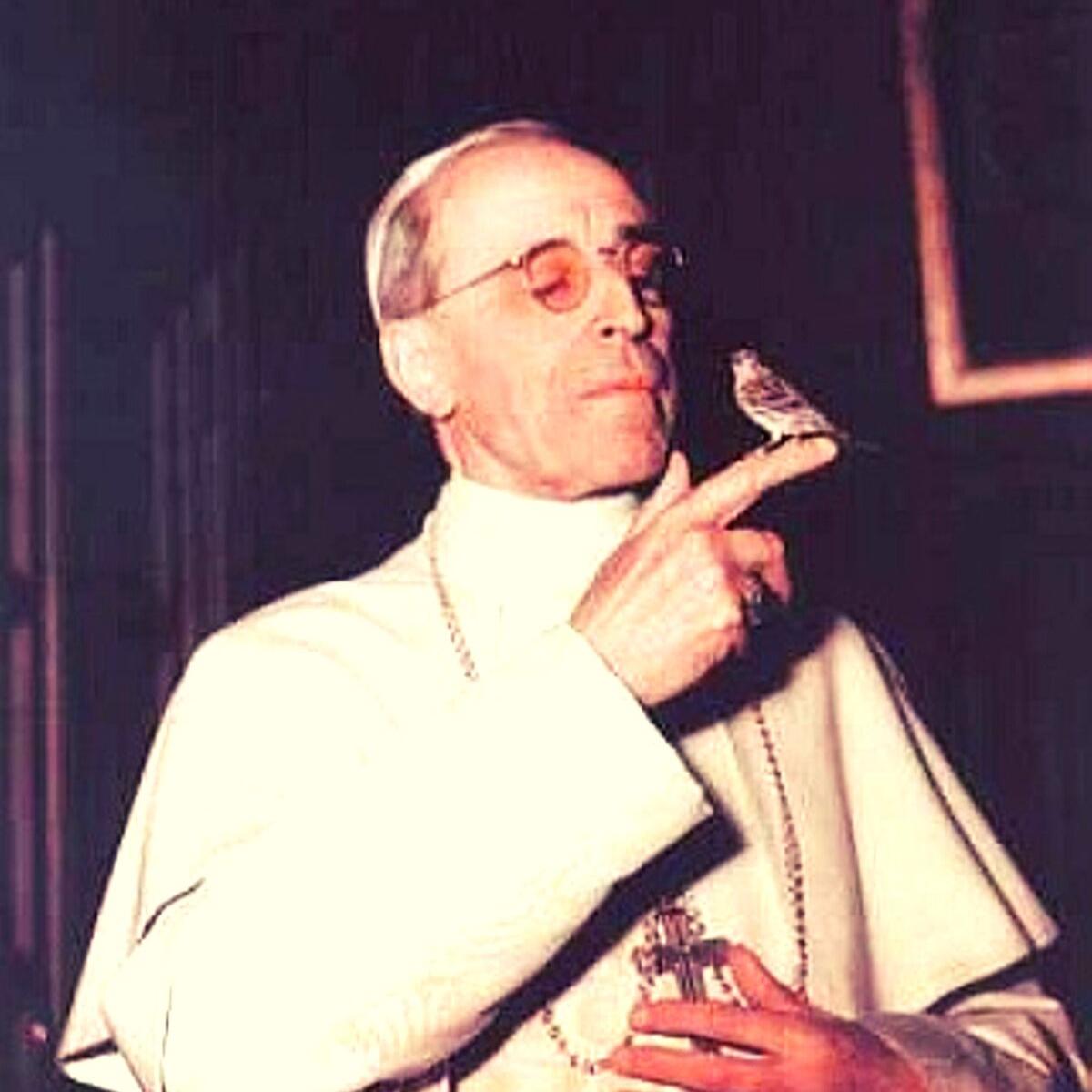 squat Ved frugtbart The Popecast: A History of the Papacy 🇻🇦 on Twitter: "“Feeding the birds  is also a form of prayer.” -Ven. Pope Pius XII Pius XII was well known to  have kept birds
